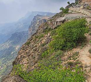 Wadi Darbat