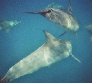 Und das ganze nochmal