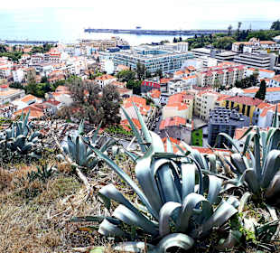 Ausblick von der Festung