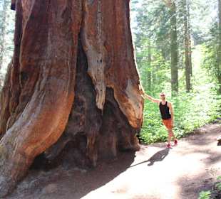 Sequoia National Park