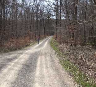 Waldkulturerbe Neuweiler Viehweide