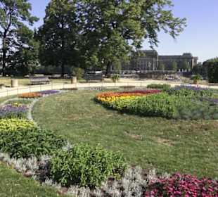 Altstadt - Rund um das Terrassenufer
