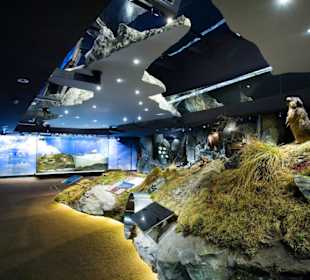 Murmeltier & Co in den Nationalparkwelten