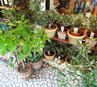 Impressionen aus der Altstadt von Malcesine