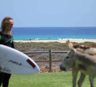Nach dem Surfen in Jandia