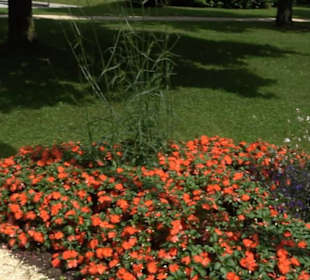 Blühendes Neresheim 2021