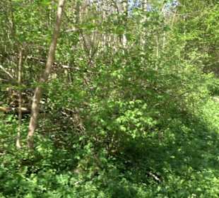 Premiumwanderweg Hochgehschätzt