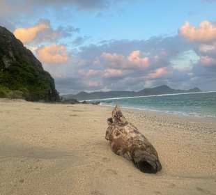 Strand