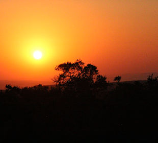 Geführte Touren Schotia Safaris