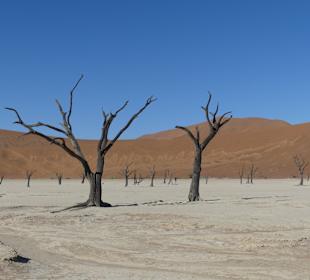Deadvlei