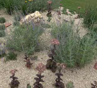 Blühendes Neresheim