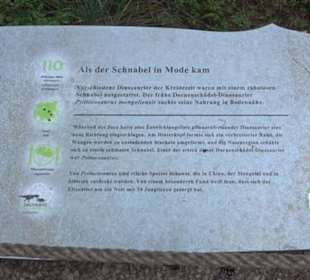 Dinosaurier Museum Altmühltal