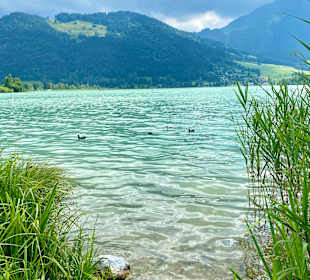 Walchsee