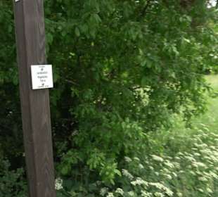 Premiumwanderweg "hochgehackert"