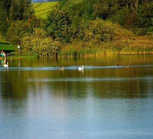 Reintaler See