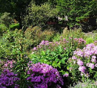 Eindrücke vom Rundgang durch die Gärten