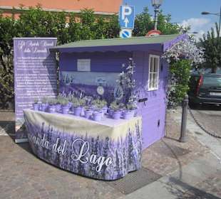 Uferpromenade Menaggio