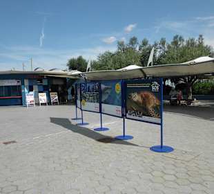 Eingang vom Aquarium