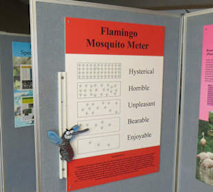 Mückenlevel Anzeige in Flamingo