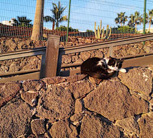 Strandpromenade Morro Jable