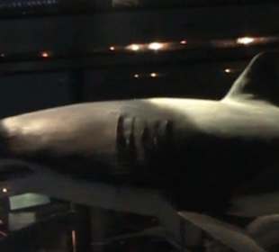 Naturhistorisches Museum