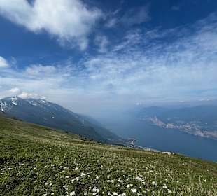 Blick von oben 