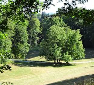 Spaziergang durch den Hofgarten Coburg