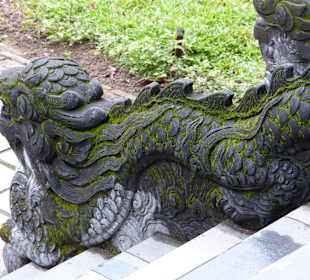 Schützender Drache