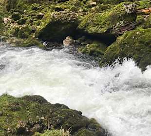 Wandern Rossleithen
