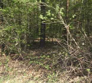 Wanderweg Firstwaldrunde