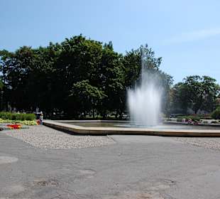 Okolice Starego Miasta