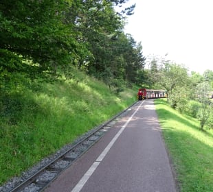 Höhenpark Killesberg
