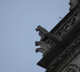 Dettaglio dell'architettura