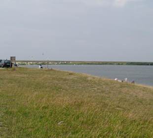Surfsee