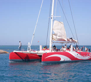 Ocean Diva Catamaran Segelausflug 