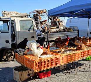 Geflügelhändler auf dem Markt von Saint-Paul