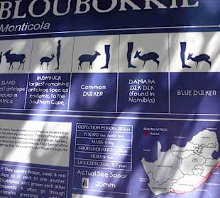 Aussichtspunkt Knysna