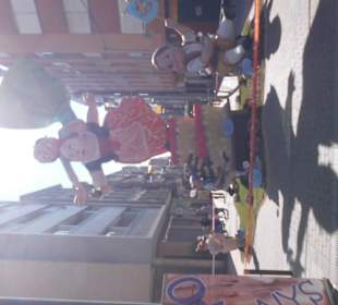 Fallas