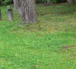 Waldfriedhof Degerloch