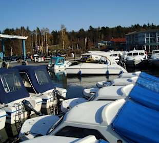 Bootsverleih - führerscheinfreies Motorboot