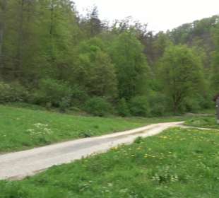 Wandertour durchs Reissenbachtal Oberhausen