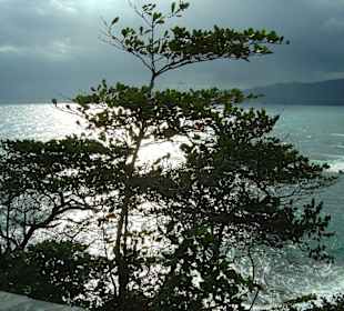 Ausflug in die Blue Mountains