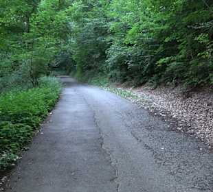 Burgruine Andeck Talheim