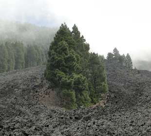 Cumbre Vieja / Lavastrom von San Nicolas
