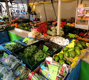 Impressionen von der Auswahl