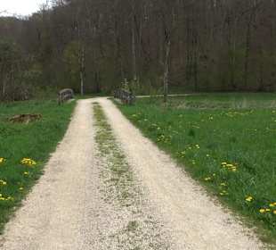 Eiszeitpfad - Burgfelsenpfad