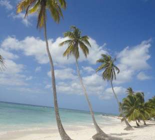 Palmenstrand auf Saona