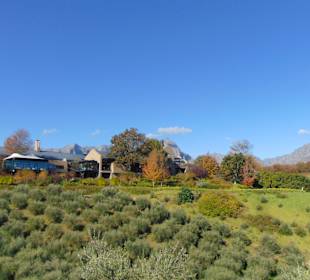 Weingut Tokara in Stellenbosch