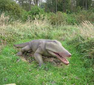 Dinosaurierpark Rügen