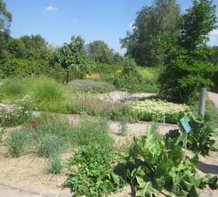 Kurpark Bad Bergzabern